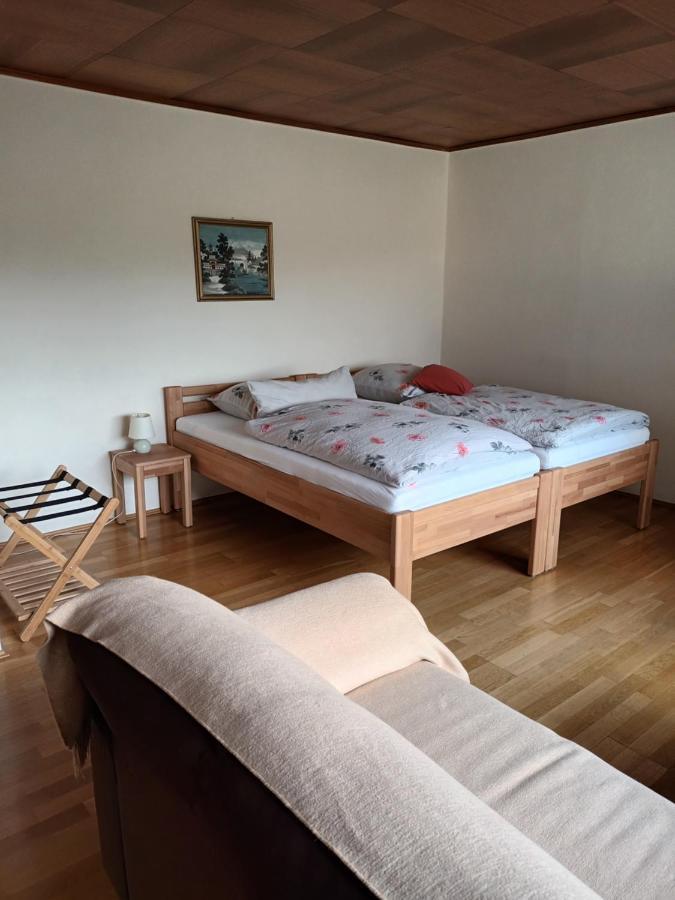 Buedingen-Ferienwohnung Bausch מראה חיצוני תמונה