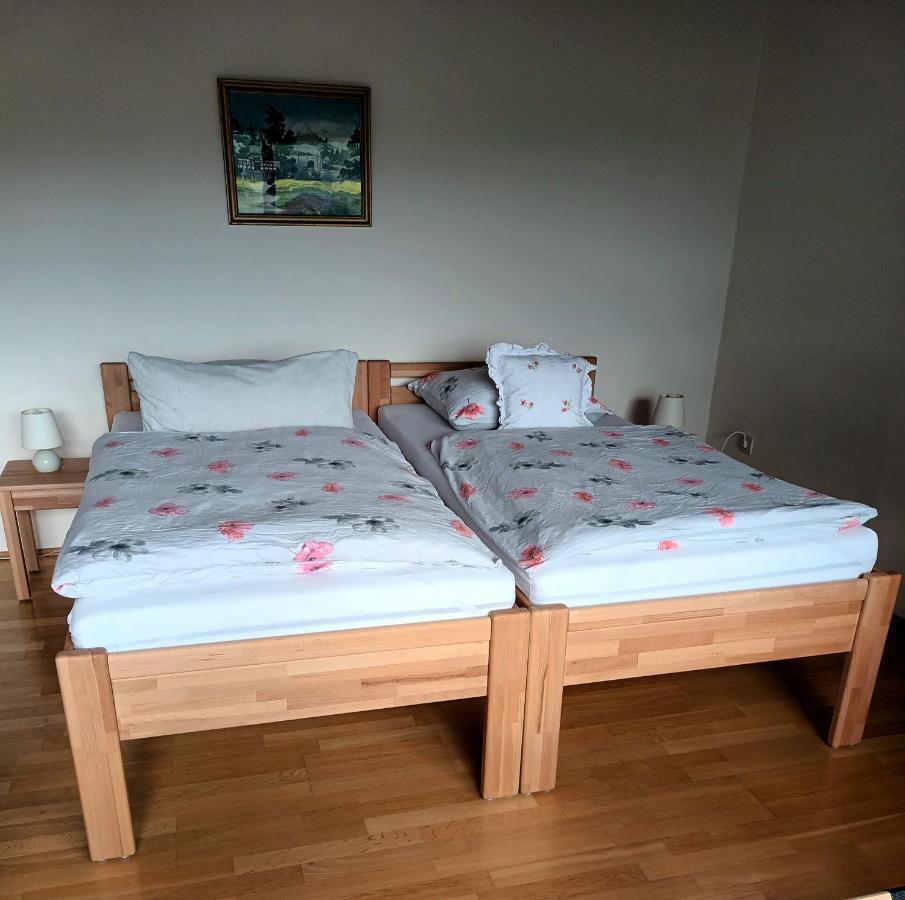 Buedingen-Ferienwohnung Bausch מראה חיצוני תמונה
